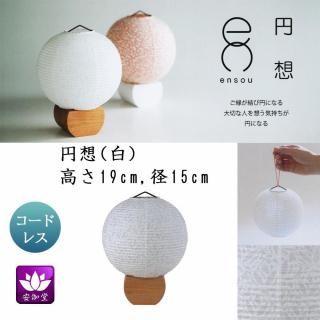  ߤ礦 ƥꥢ     涡   ۥ磻 ܺ»ĥ LED ɥ쥹 OZ-21061