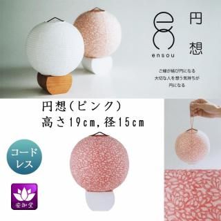  ߤ礦 ƥꥢ     涡  ꥢ ԥ ܺ»ĥ LED ɥ쥹 OZ-21062