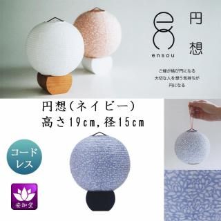  ߤ礦 ƥꥢ     涡  ꥢ ͥӡ ܺ»ĥ LED ɥ쥹 OZ-21063