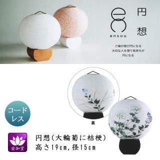  ߤ礦 ƥꥢ     涡  صƤ˵˹ ܺ»ĥ LED ɥ쥹 OZ-21071