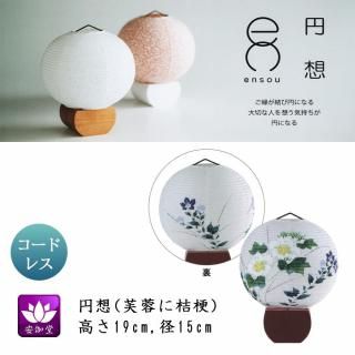  ߤ礦 ƥꥢ     涡  ֤˵˹ ܺ»ĥ LED ɥ쥹 OZ-21072