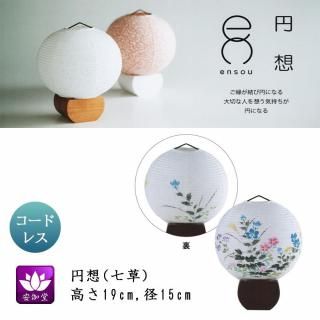  ߤ礦 ƥꥢ     涡   ܺ»ĥ LED ɥ쥹 OZ-21073