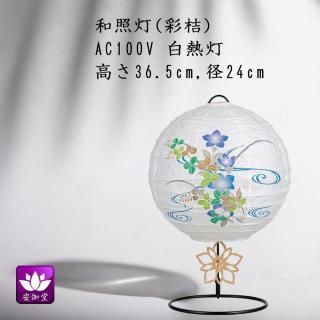  ߤ礦 ƥꥢ     涡 ¾ ̵ GK-2987