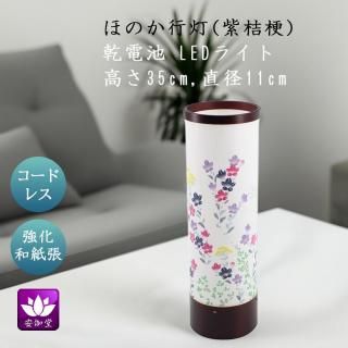  ߤ礦 ƥꥢ     涡 ۤΤ ˹ »ĥ LED ɥ쥹 HI-866-2