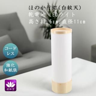  ߤ礦 ƥꥢ     涡 ۤΤ ŷ »ĥ LED ɥ쥹 HI-867-2