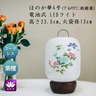  ߤ礦 ƥꥢ     涡 ۤΤ 4  ץꥢŴϡ ܺ»ĥ LED ɥ쥹 OZ-23052