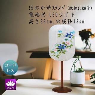  ߤ礦 ƥꥢ     涡 ۤΤ  Ŵ ܺ»ĥ LED ɥ쥹 OZ-23046