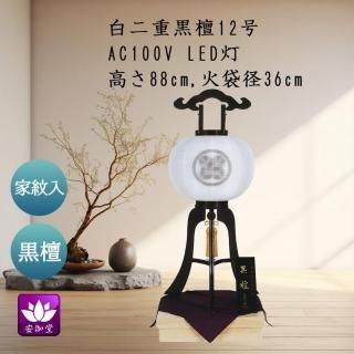  ߤ礦        12 ĥ OZ-43629D