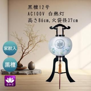  ߤ礦        12 ĥ Ȣ GK-586B