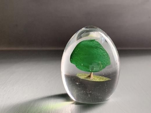 硝子の種（ガラス） - 櫻茶屋オンラインショップ