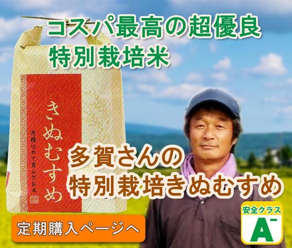 ¿줵󤭤̤ह