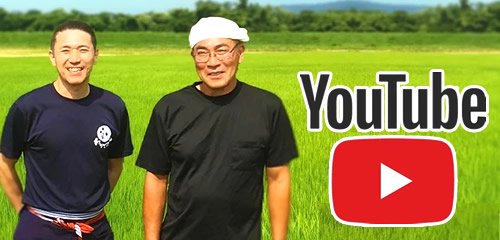 農家の米youtube
