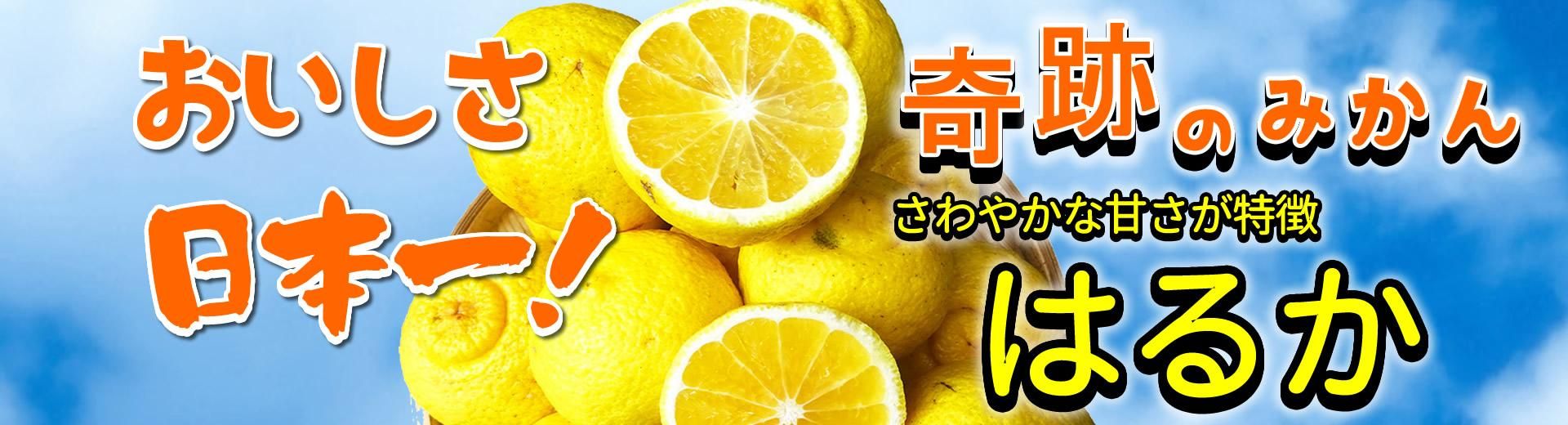 はるか