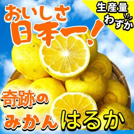 はるか