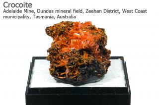 クロコアイト　結晶石　オーストラリア産｜Adelaide Mine, West Coast Tasmania, Australia｜紅鉛鉱｜Crocoite｜