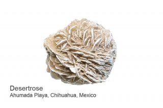 デザートローズ（砂漠のバラ）　結晶　メキシコ｜Ahumada Playa, Chihuahua, Mexico｜Desertrose｜砂漠のバラ｜