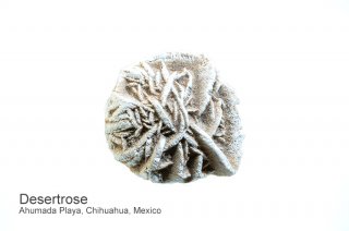 デザートローズ（砂漠のバラ）　結晶　メキシコ｜Ahumada Playa, Chihuahua, Mexico｜Desertrose｜砂漠のバラ｜