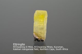 エトリンガイト　結晶　南アフリカ産｜N'Chwaning II Mine, N'Chwaning Mines, South Africa｜Ettringite｜エトリング石｜