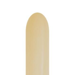 <img class='new_mark_img1' src='https://img.shop-pro.jp/img/new/icons30.gif' style='border:none;display:inline;margin:0px;padding:0px;width:auto;' />ڥƥå Sempertex SM260S եå ۥ磻ȥ