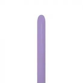 <img class='new_mark_img1' src='https://img.shop-pro.jp/img/new/icons30.gif' style='border:none;display:inline;margin:0px;padding:0px;width:auto;' />SM160S եå 饤å