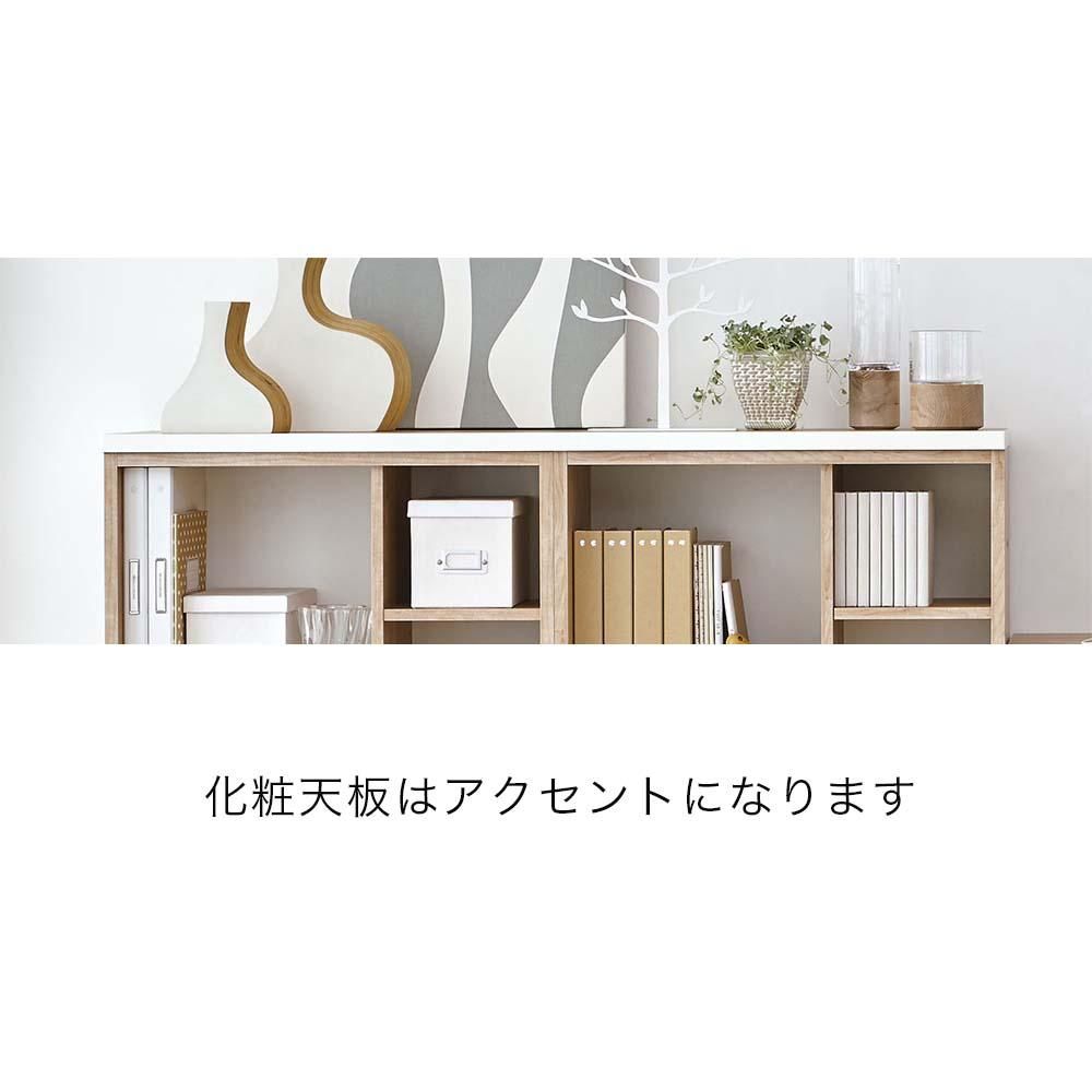 HOLIS シェルフ | 多機能本棚 - バルバーニ公式オンライン HOLIS シェルフ | 多機能本棚 - バルバーニ公式オンライン