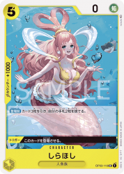 OPPRB01-UCۤ