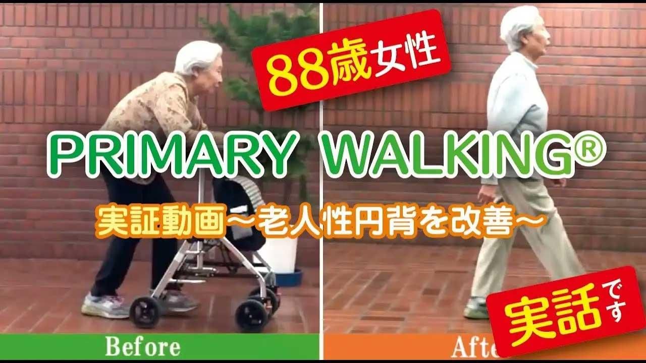 ץ饤ޥ꡼󥰏¾ưڶä88С