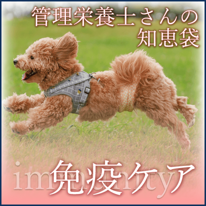 ܻΤηޡȱ֥