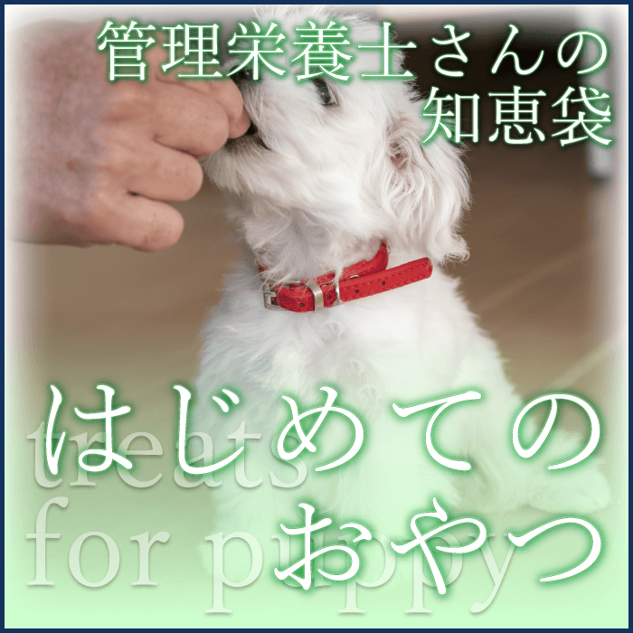 ܻΤηޡϤƤΤ