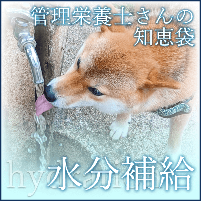 ܻΤηޡʬ