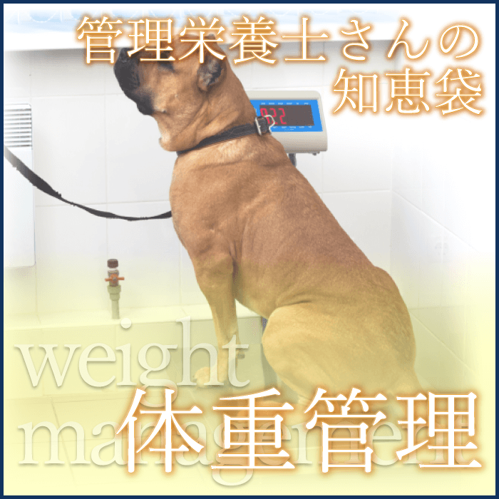 ܻΤηޡνŴ