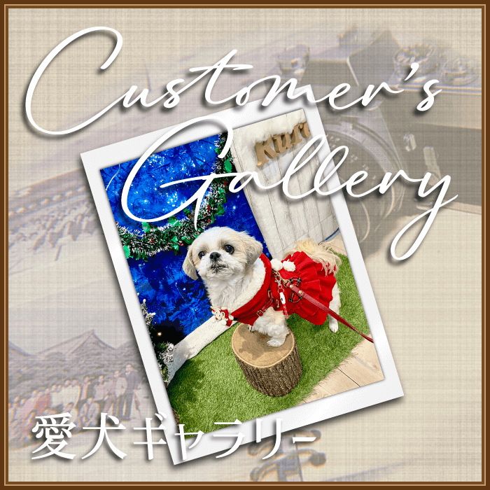 Customer's Gallery ꡼