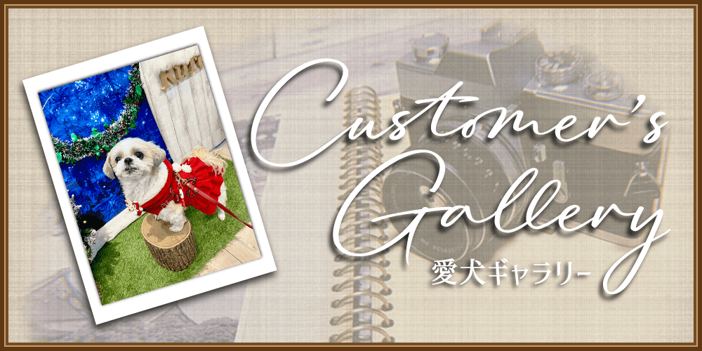 Customer's Gallery ꡼
