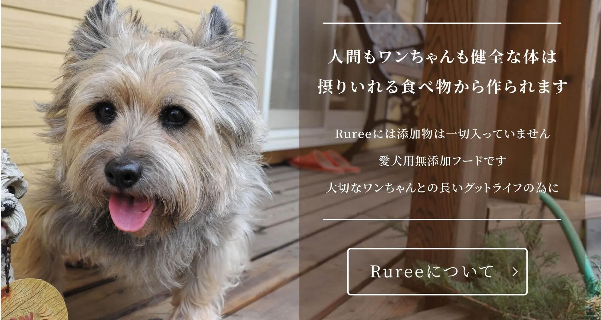 RureeˤĤ