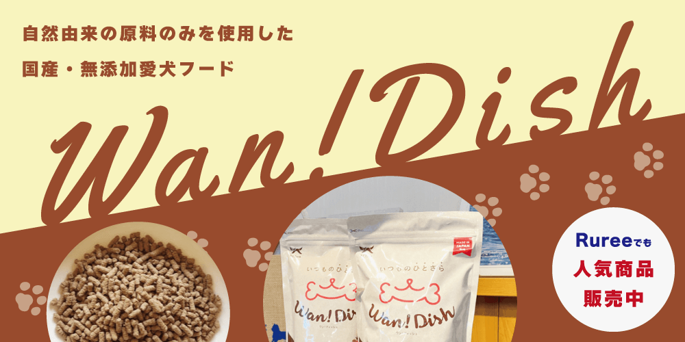񻺡̵źäˤäͳǺɥåաɡWan! Dishý