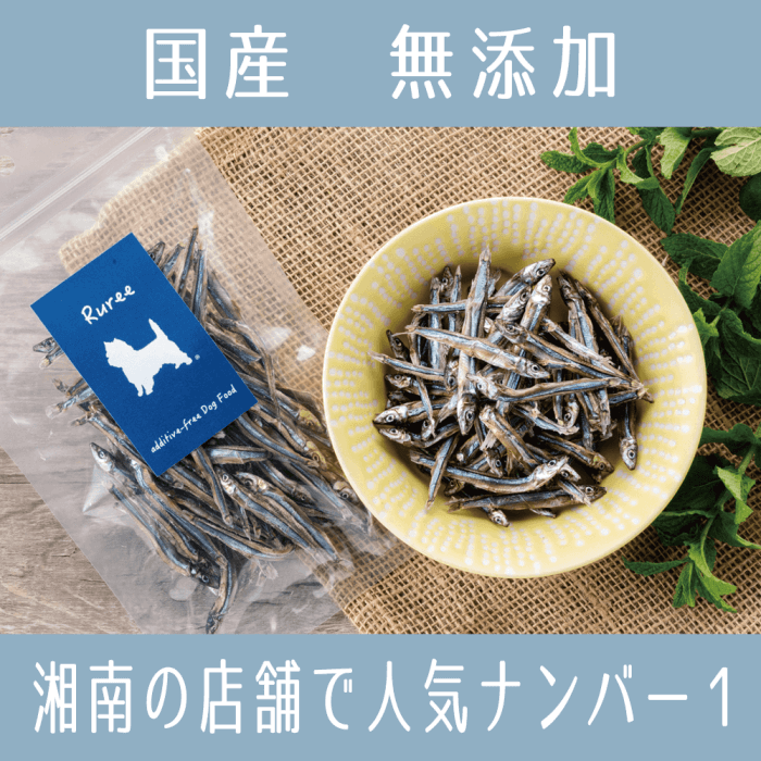 <img class='new_mark_img1' src='https://img.shop-pro.jp/img/new/icons29.gif' style='border:none;display:inline;margin:0px;padding:0px;width:auto;' />ʤ Ӥʤ 40g ̵ź 񻺰ա 