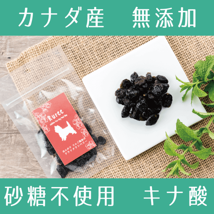 ɥ饤٥꡼ 35g ̵ź ʥա  