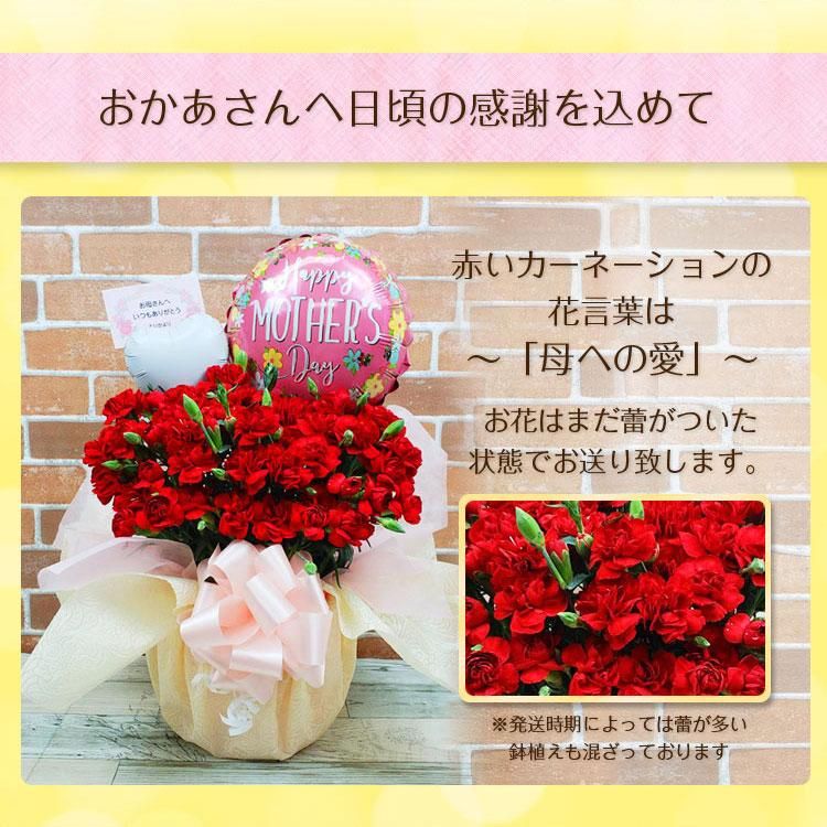 母の日 プレゼント 花鉢 ギフト 鉢植え ポット 生花 カーネーション バルーン 母の日 お母さん ありがとう お祝い バルーンアレンジ メッセージカード無料 Mother S Day 数量限定 Sweet Heart Balloon 母の日 プレゼント 花鉢 ギフト 鉢植え ポット 生花 カーネーション バルーン 母の日 お母さん ありがとう お祝い バルーンアレンジ メッセージカード無料 Mother S Day 数量限定 Sweet Heart Balloon