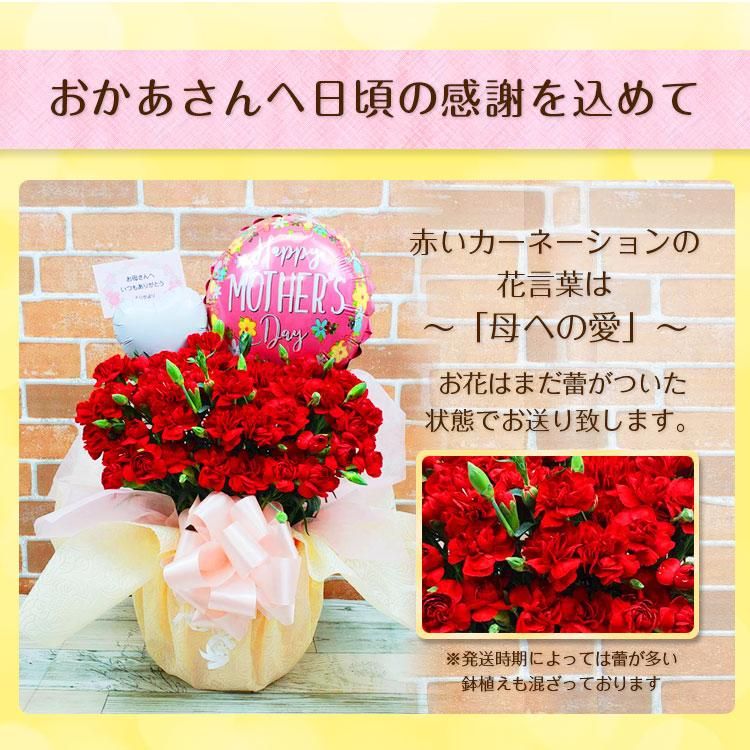 母の日 プレゼント 花鉢 ギフト 鉢植え ヘリウムバルーン付 ポット 生花 カーネーション バルーン 母の日 お母さん ありがとう お祝い バルーンアレンジ Mother S Day 数量限定 Sweet Heart Balloon 母の日 プレゼント 花鉢 ギフト 鉢植え ヘリウムバルーン付 ポット 生花 カーネーション バルーン 母の日 お母さん ありがとう お祝い バルーンアレンジ Mother S Day 数量限定 Sweet Heart Balloon