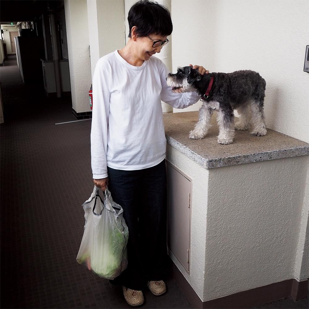 Granite Gear エアグロッサリーバッグ Farmer S Table オンラインショップ Granite Gear エアグロッサリーバッグ Farmer S Table オンラインショップ