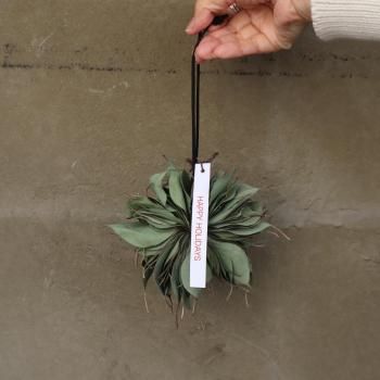 ͳ / դäѤΥ꡼ (桼ݥץ饹) 