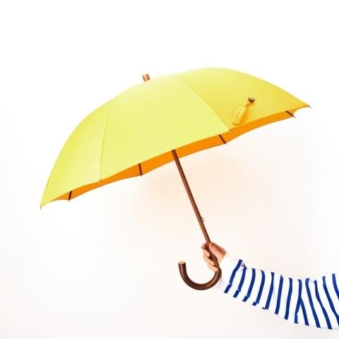umbrella - BonBonStore Online Shop