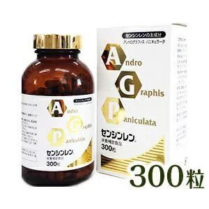 󥷥󡡡300