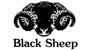 BLACK SHEEP