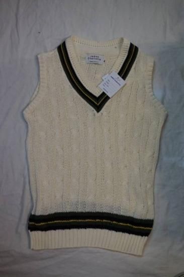 JAMES CHARLOTTE』(ジェームス シャルロット)コットン V NECK JAMES CHARLOTTE』(ジェームス シャルロット)コットン V NECK