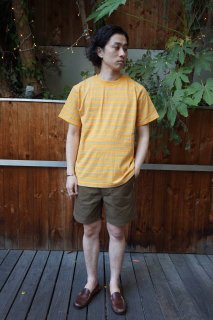 COLUMBIA KNIT١ʥӥ ˥å ˡ  S /S  ܡTEEꥫWILLAMETTE STRIPETEEGOLD