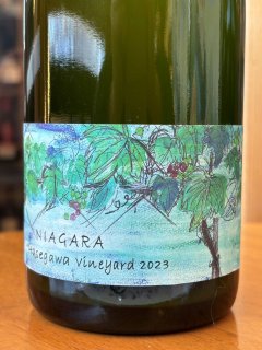 藤野ワイナリー　NIAGARA　Hasegawa vineyard 2023（白・泡）　750ml