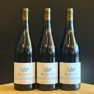 󥻥å 2023 KOYACHI ѥȥ750ml
