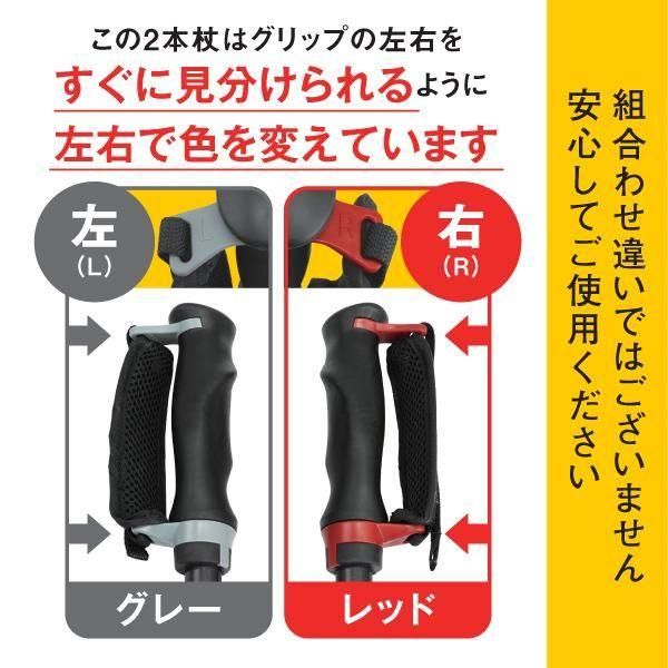 蓄光＆反射機能付 転倒予防「ひかる安心2本杖」（日本製）｜シナノ公式