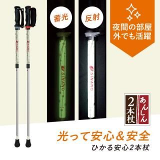 安全な歩行・転倒予防に「2本杖」(日本製) - シナノオンライン